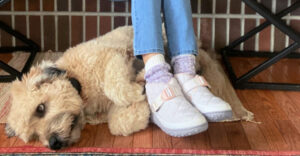 Barking Dog Shoes reviews and recommends the best footwear for people with various foot issues (as well as for women with average feet for whom comfort is a high priority).